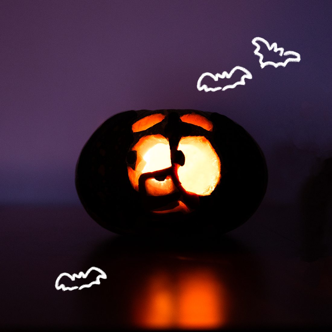 How to make a Bingo pumpkin stencil Bluey Official Website
