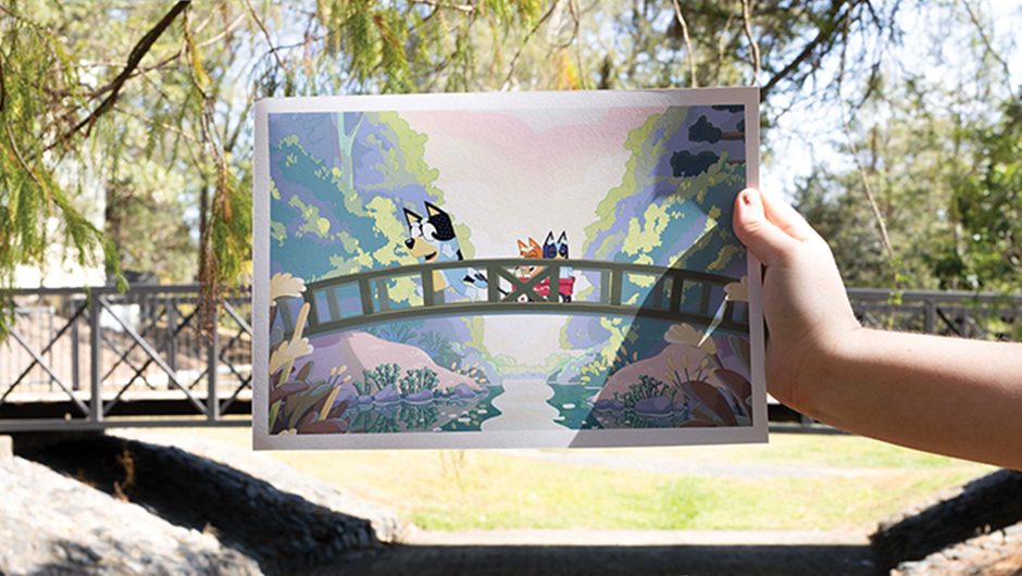 Explore bluey s hometown of brisbane bluey official website