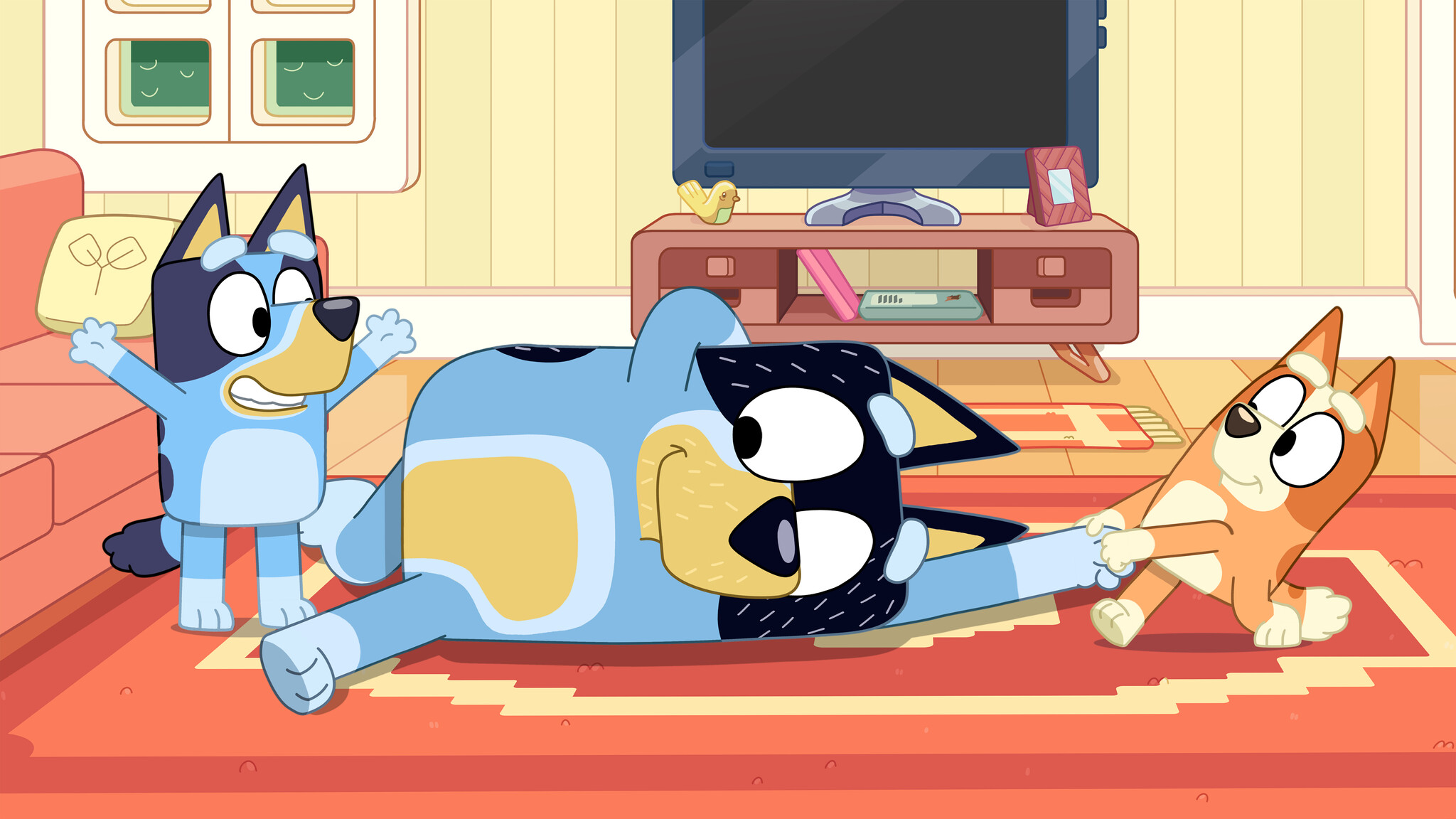 Ragdoll Bluey Official site