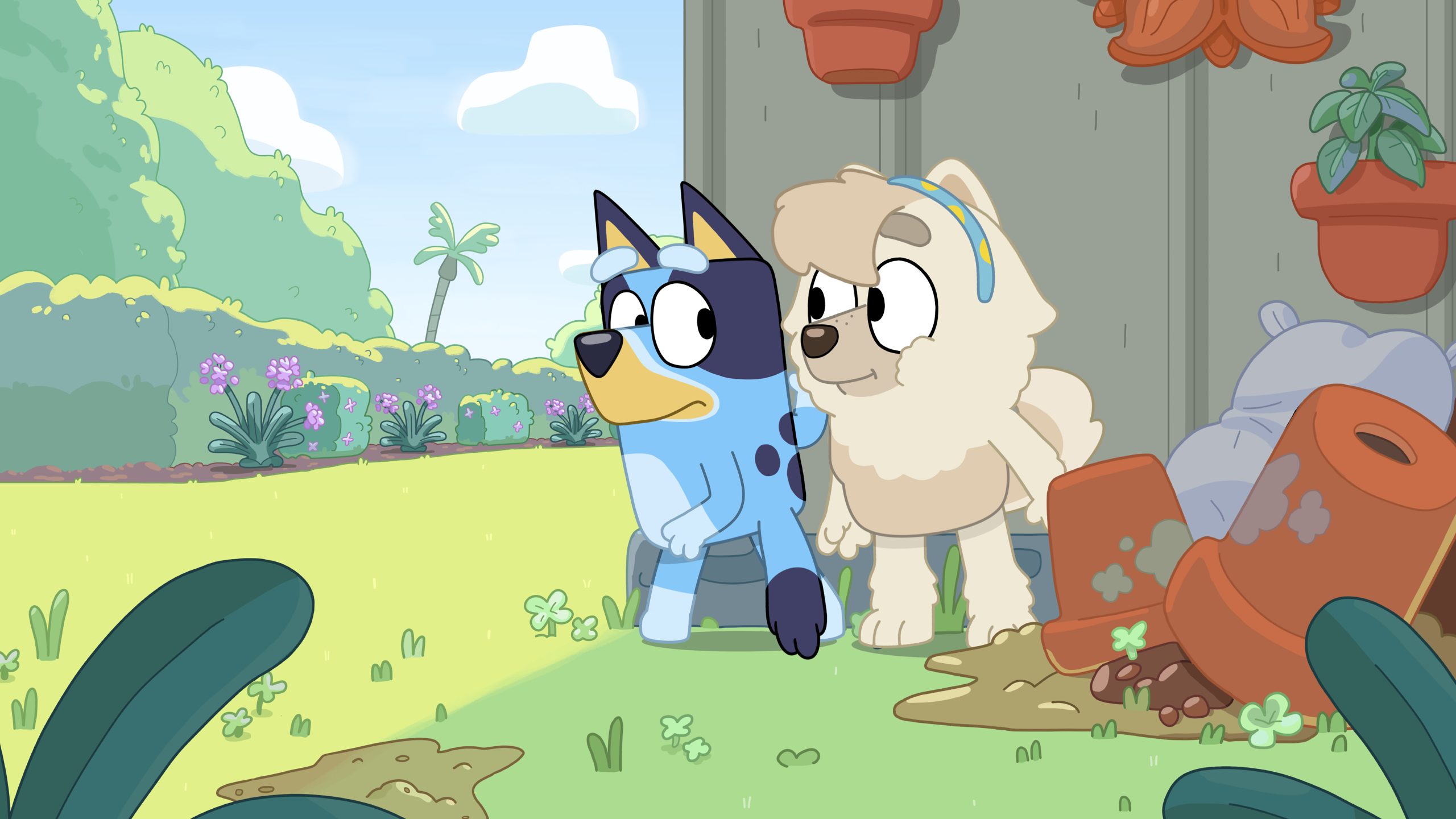 Judo Characters Bluey Official Website