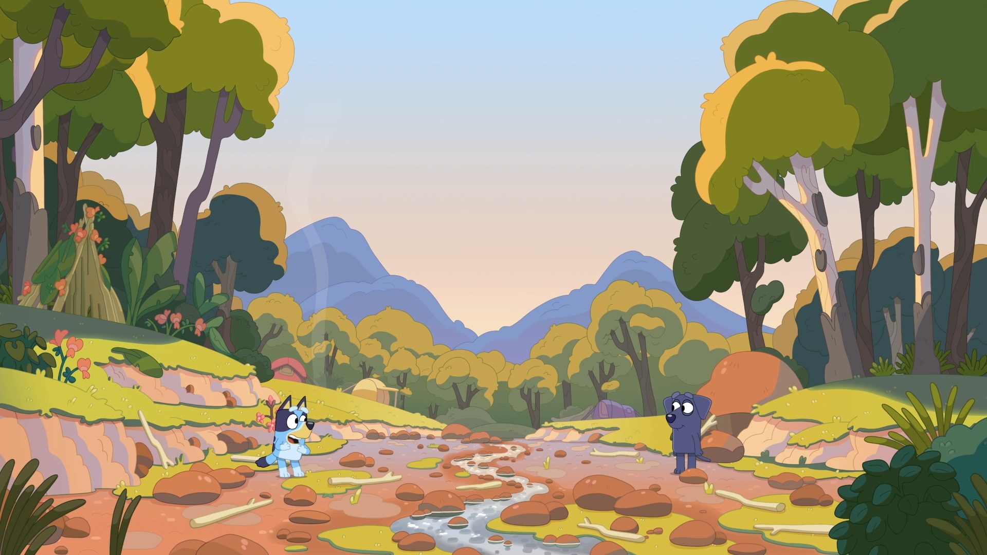 THE CAMPING TRIP