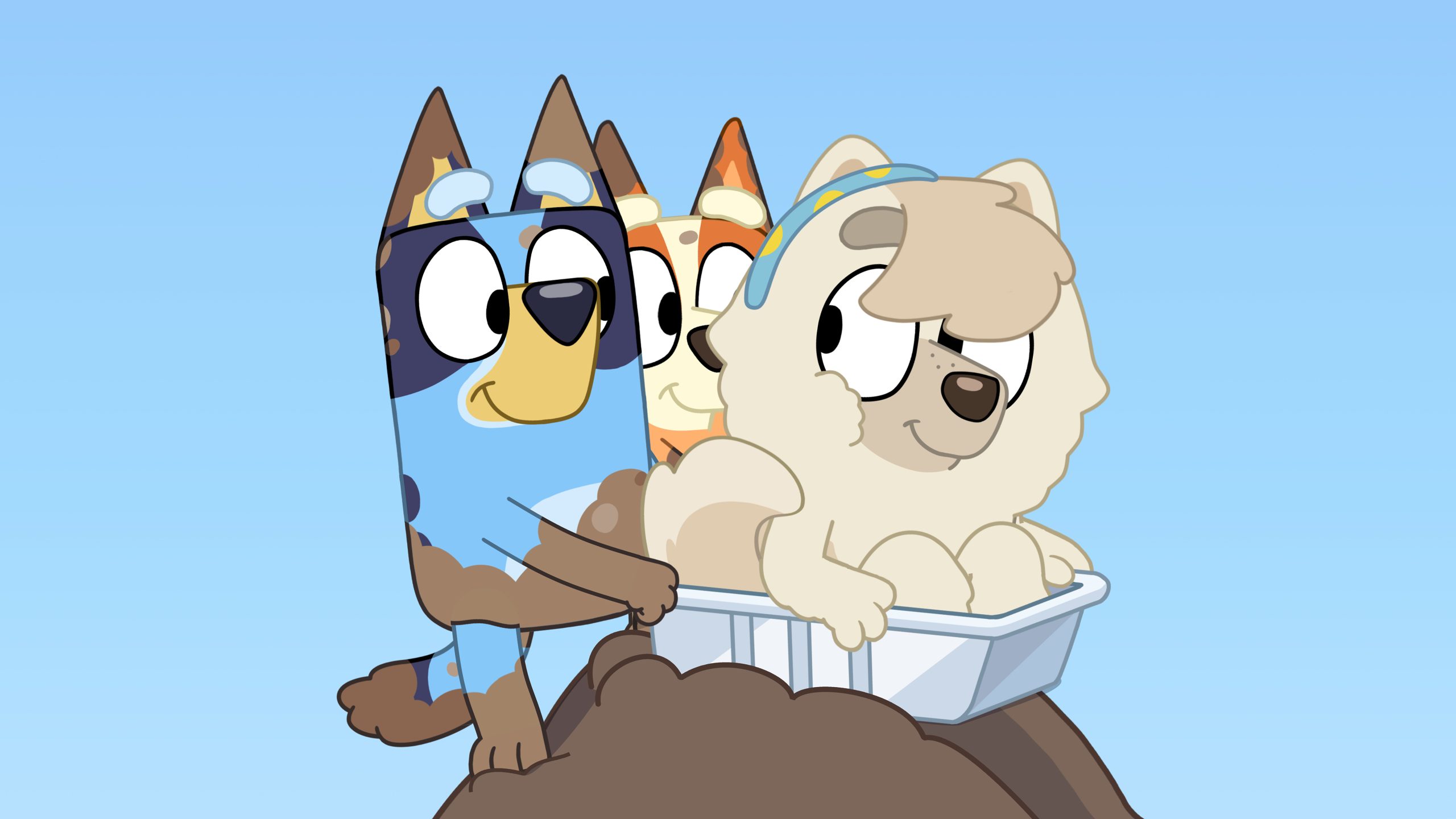 Judo Characters Bluey Official Website