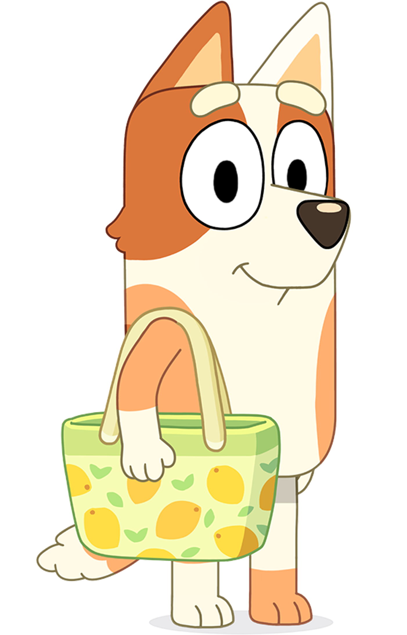 Aunty Brandy Characters Bluey Official Website