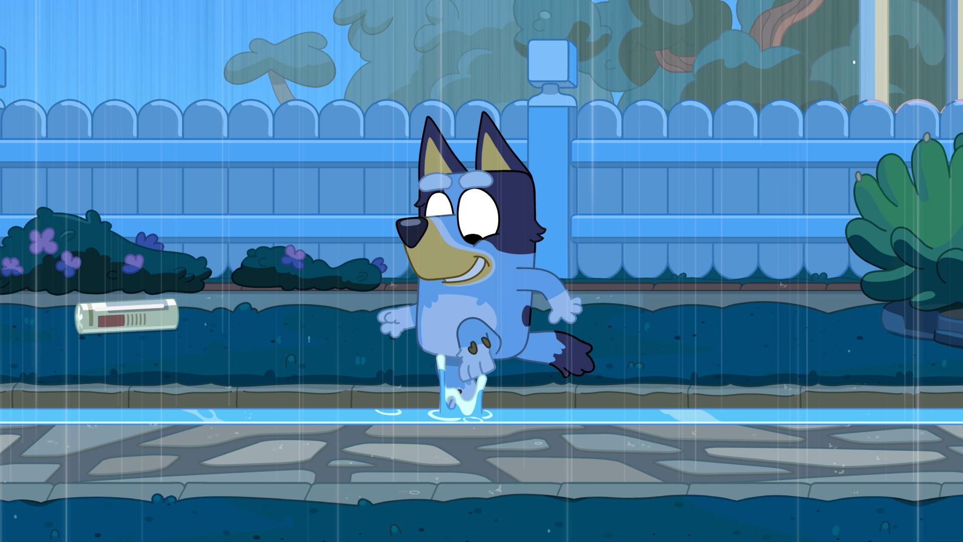 Bluey Season 3, Episode 18 Rain