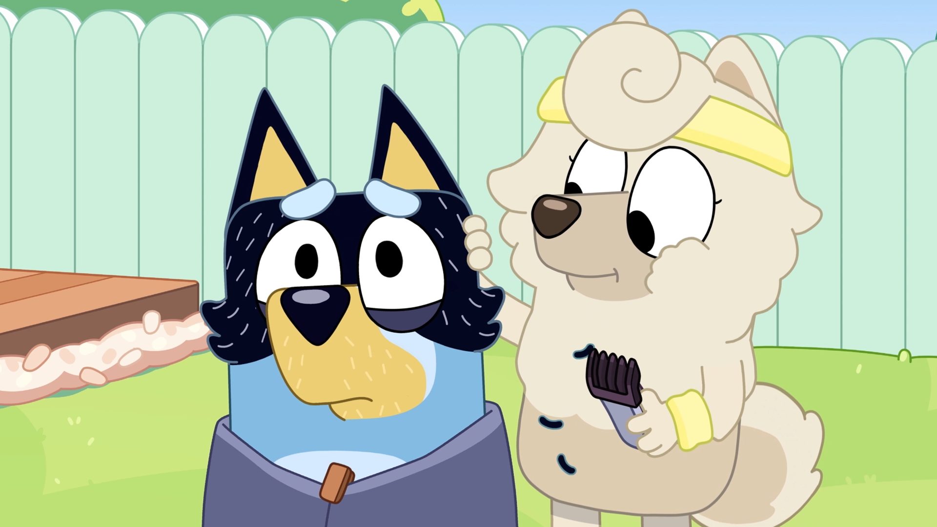 Bluey Season 3, Episode 11 Sheepdog