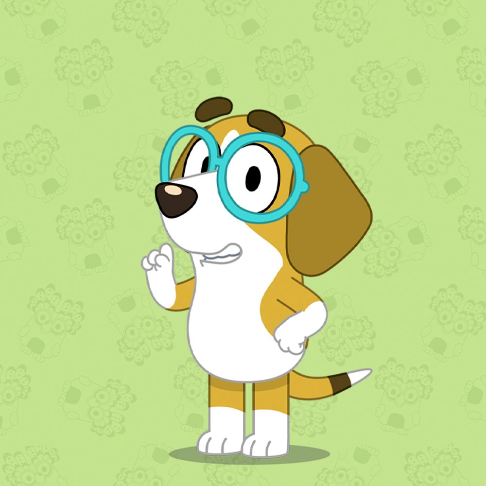 Bingo characters bluey official website
