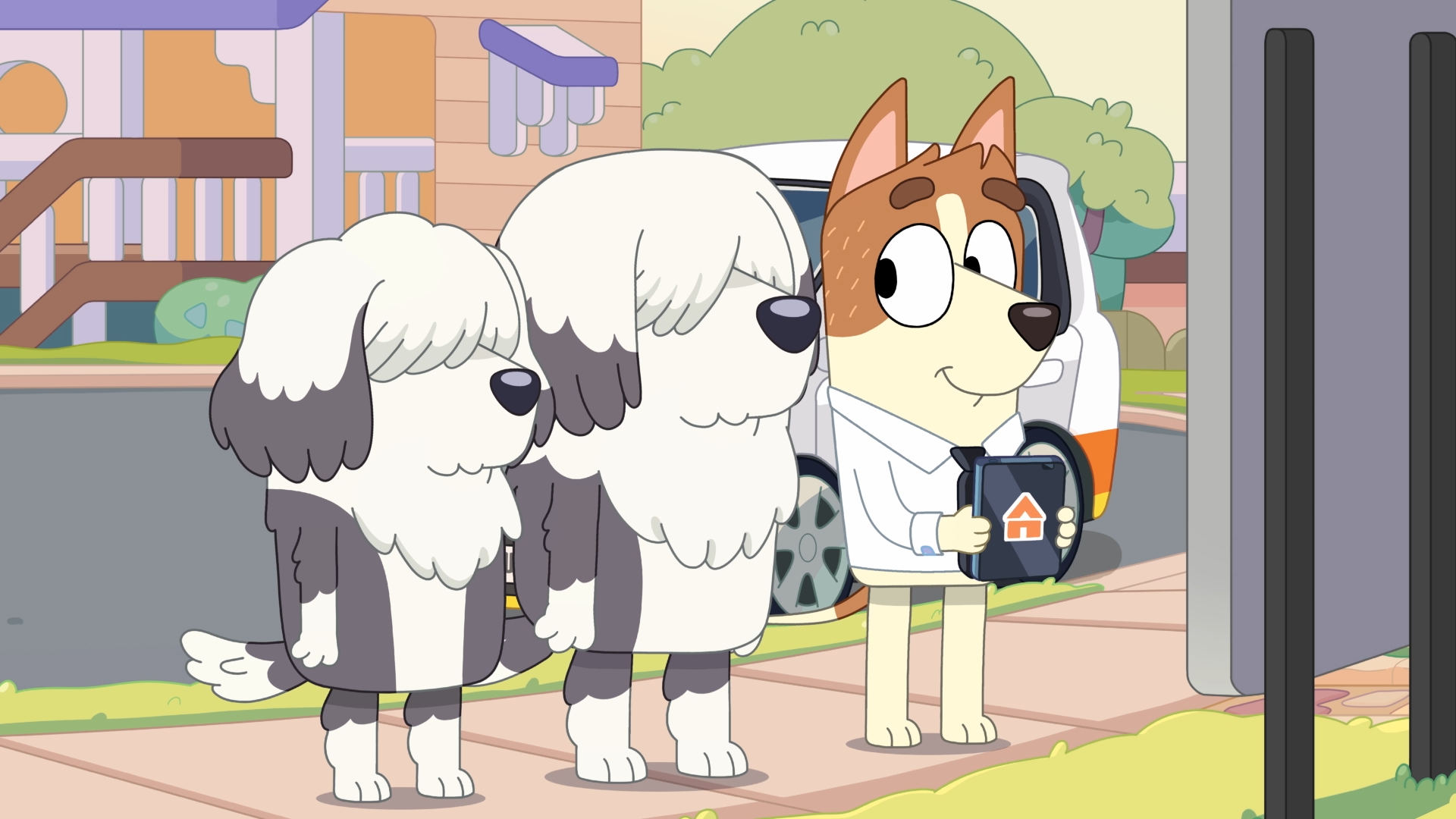 The Sheepdogs Characters Bluey Official site