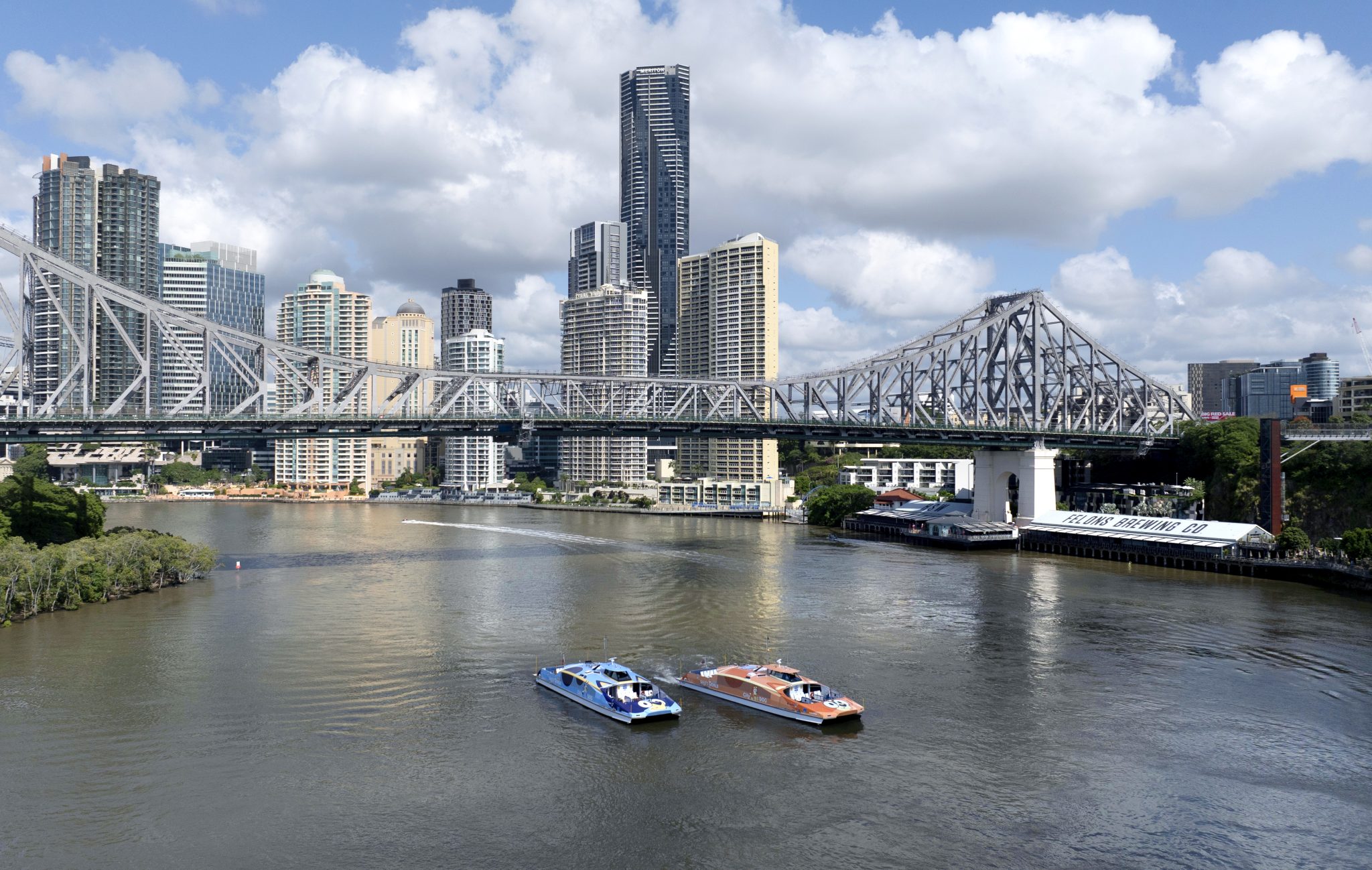 Brisbane Welcomes Bluey And Bingo Citydogs Bluey Official Website Brisbane Welcomes Bluey And Bingo Citydogs Bluey Official Website