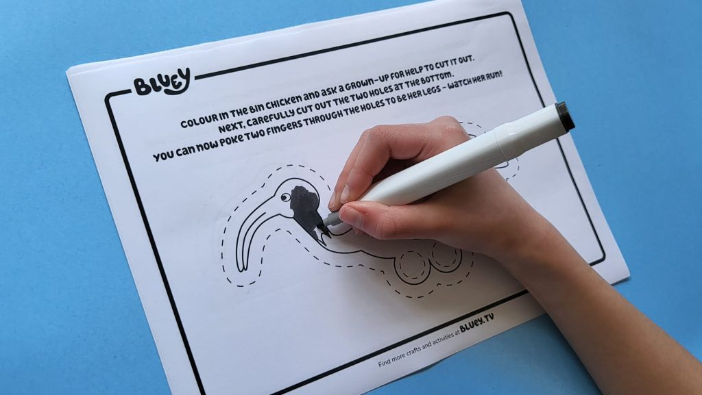 Step by Step visulisation of the bin chicken craft.