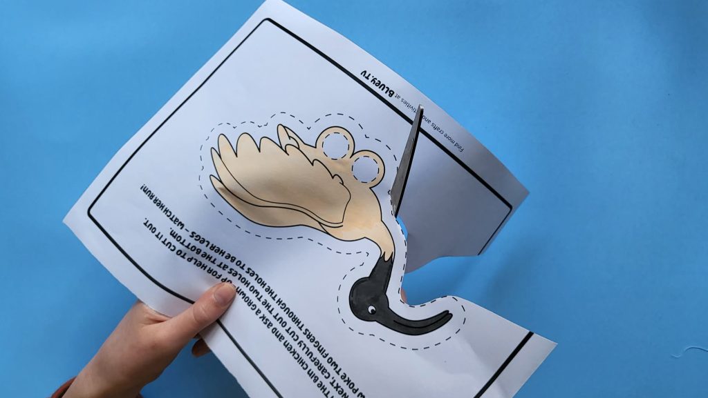 Step by Step visulisation of the bin chicken craft. 