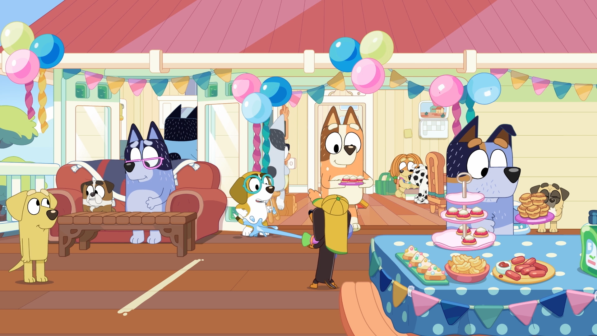Party at the Heelers House